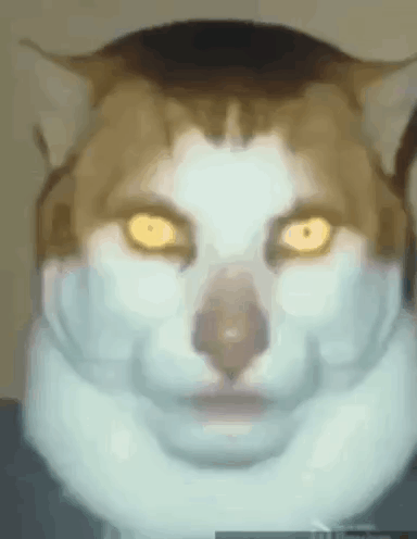 cat-scary