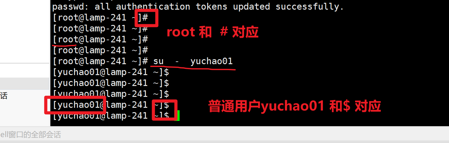 image-20220303150238488