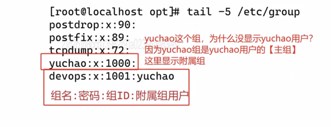 image-20240313140645854