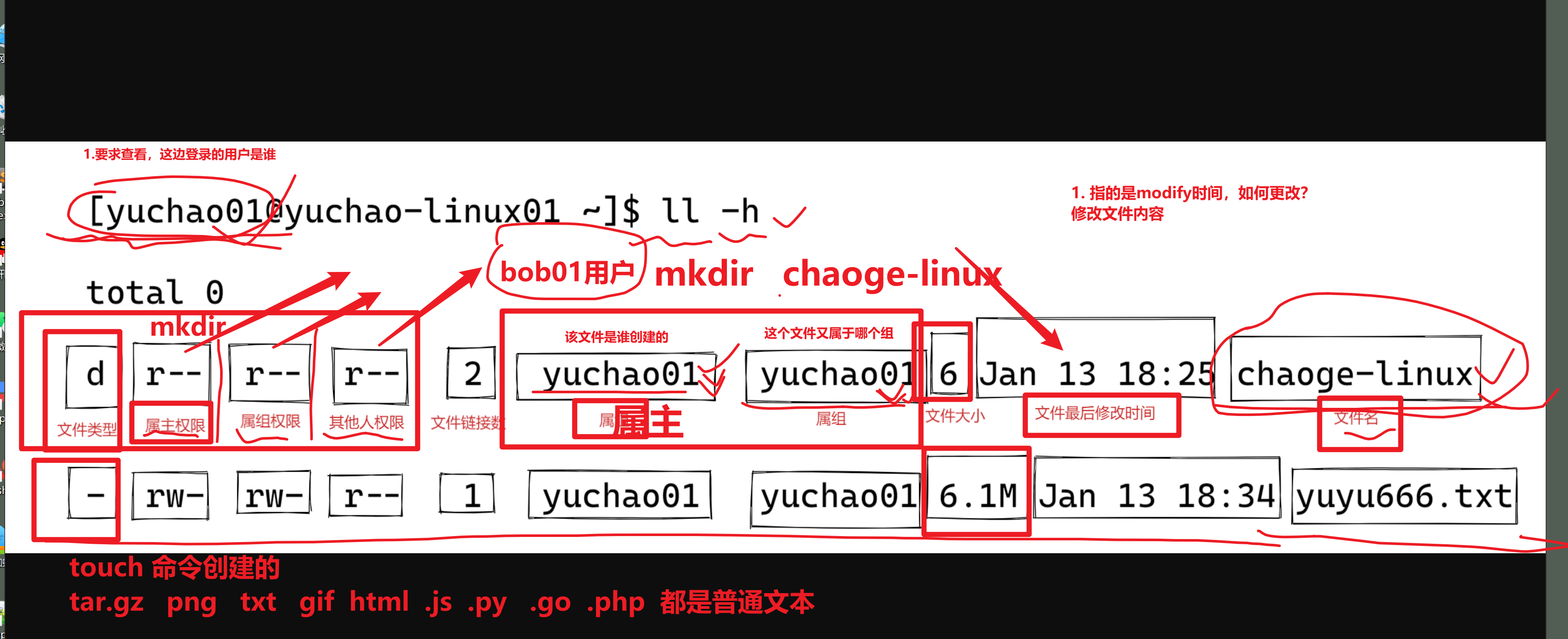 image-20240314134155779
