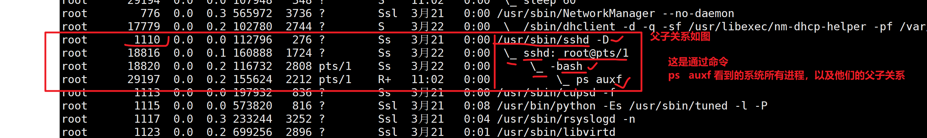 image-20240315193250615