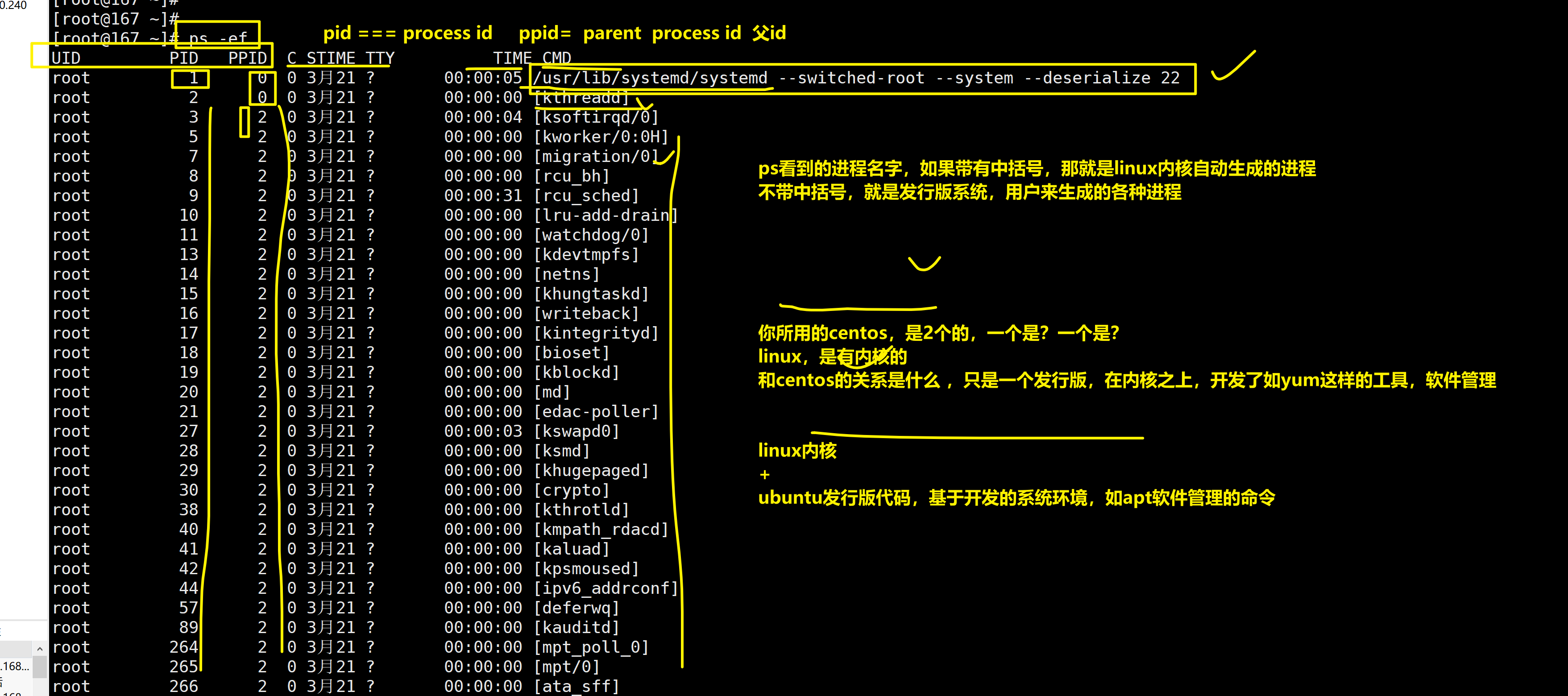 image-20240315193348388