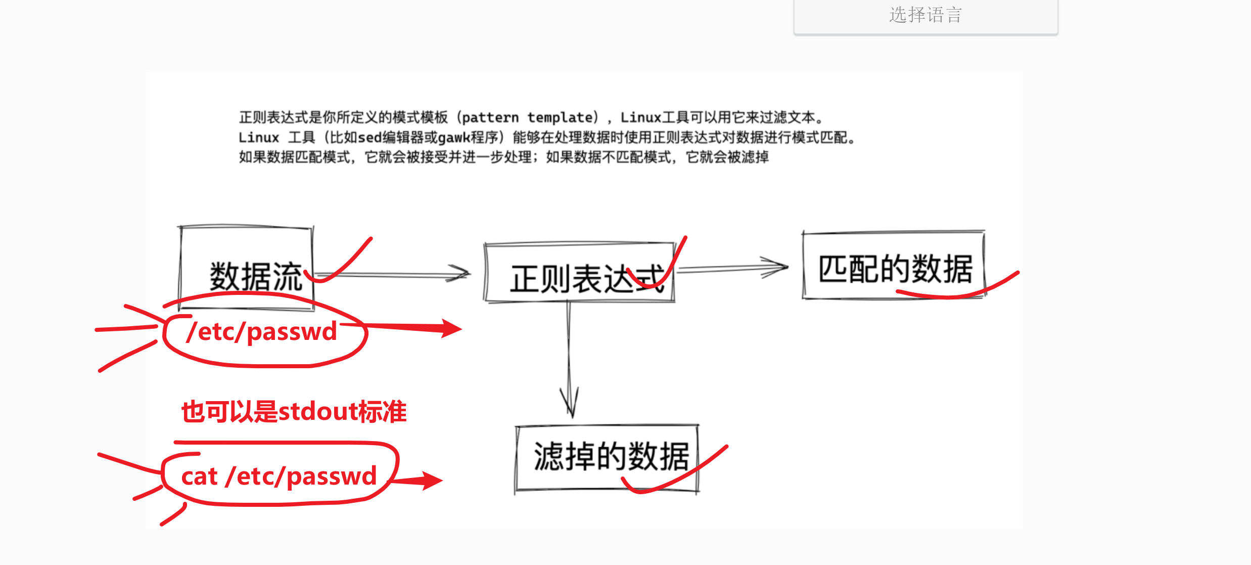 image-20240319192225559