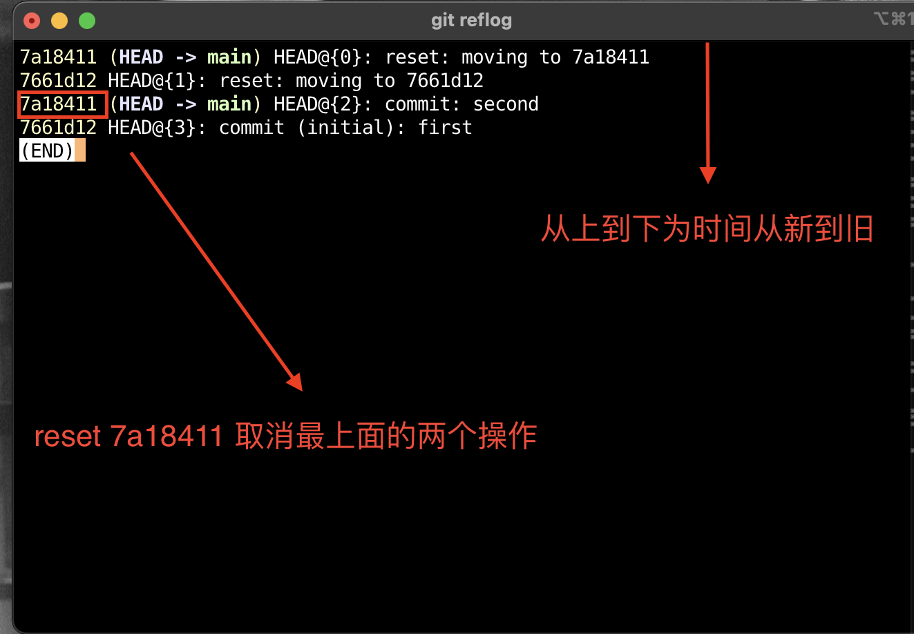 image-20240919193538708