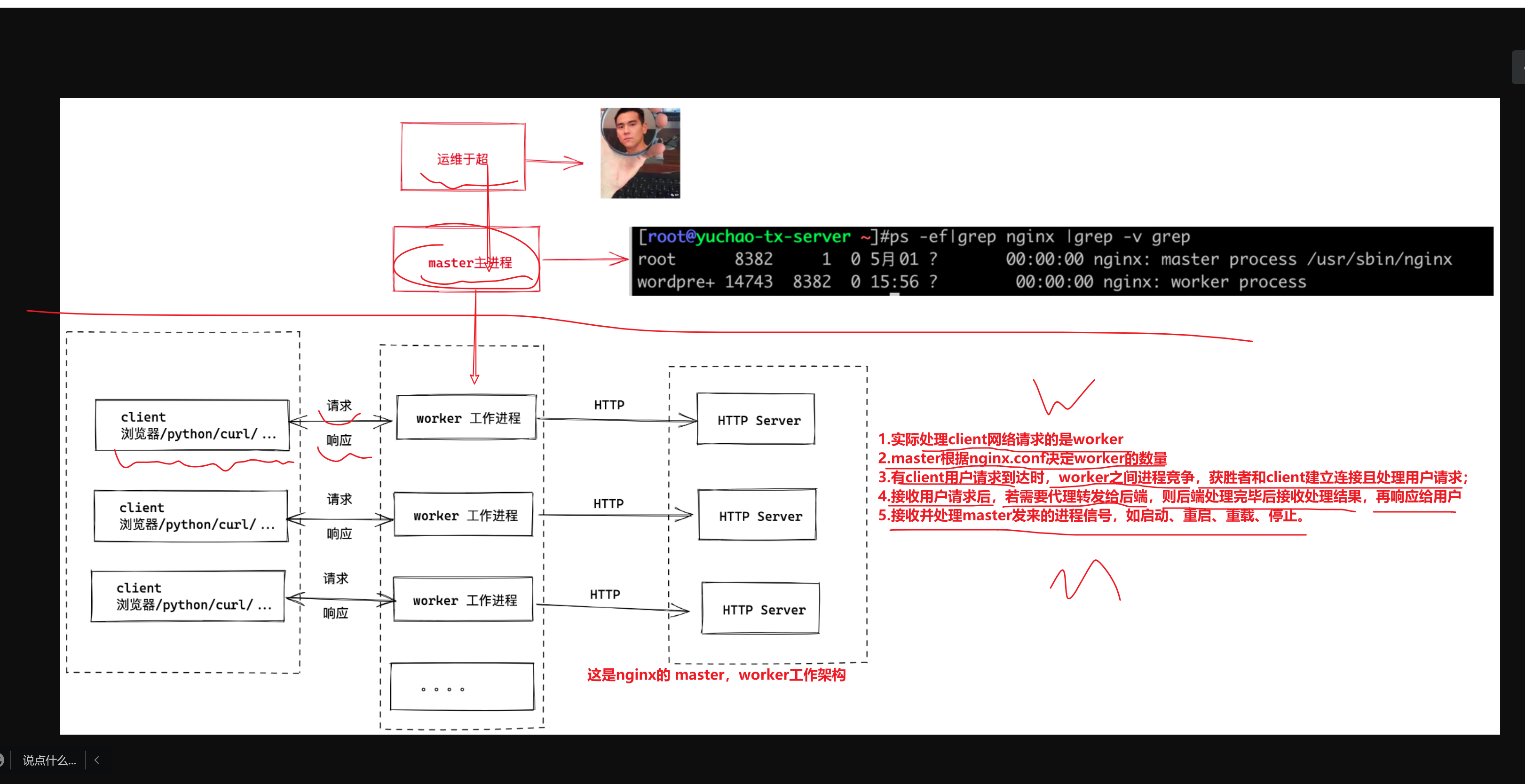 image-20241210181422486
