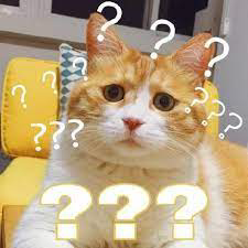 image-20241213141830307
