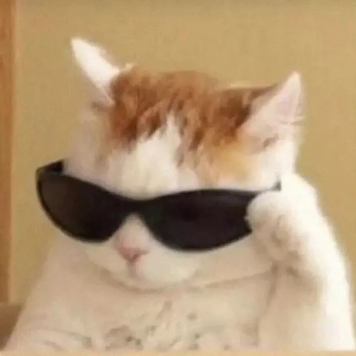 image-20241213142332538
