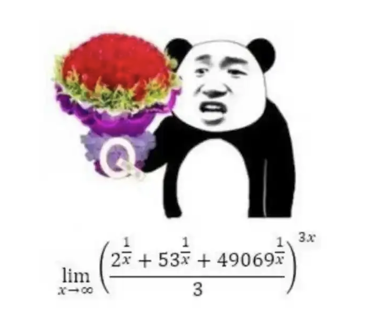 image-20250113174644166